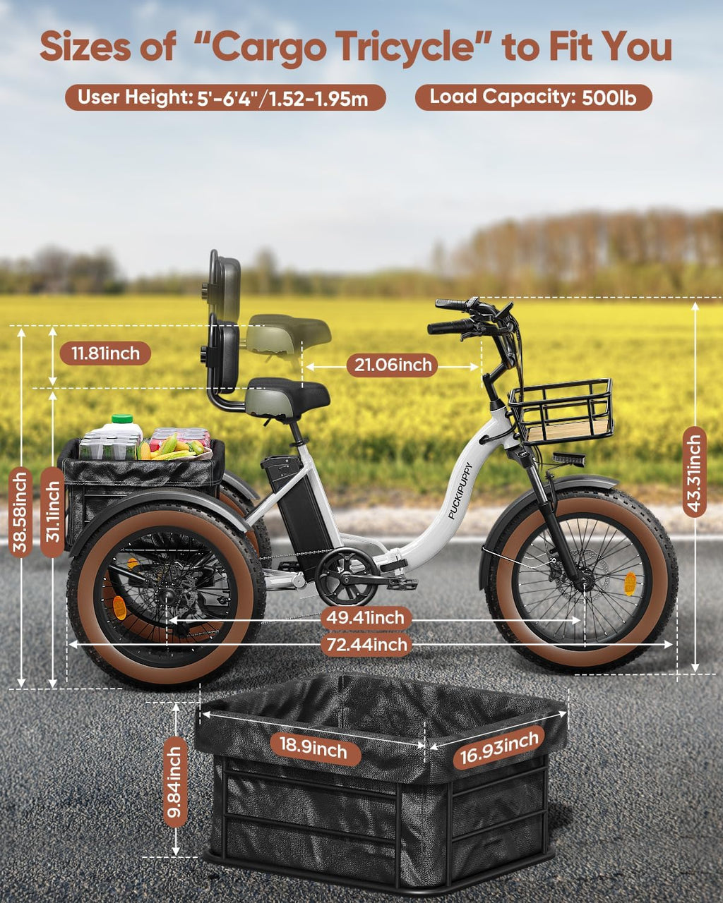 Electric Tricycle for Adults, 20' Fat Tire 3 Wheel Electric Trike with 960W Rear Motor, 25MPH Cargo Tricycle with 2 Basket, Differential for Safety, 48V 648Wh Removable Battery Ebike 55Miles Range
