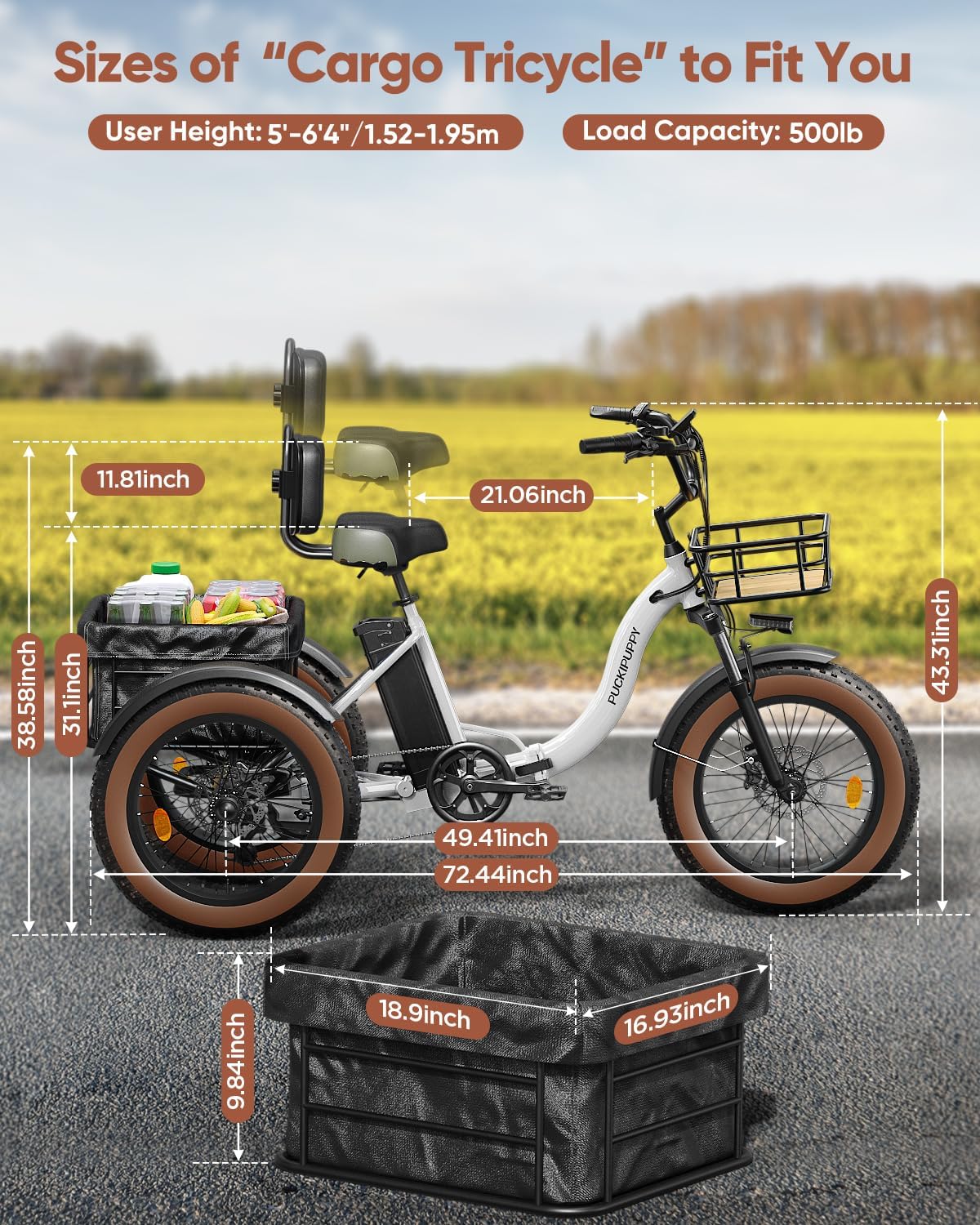 Electric Tricycle for Adults, 20' Fat Tire 3 Wheel Electric Trike with 960W Rear Motor, 25MPH Cargo Tricycle with 2 Basket, Differential for Safety, 48V 648Wh Removable Battery Ebike 55Miles Range