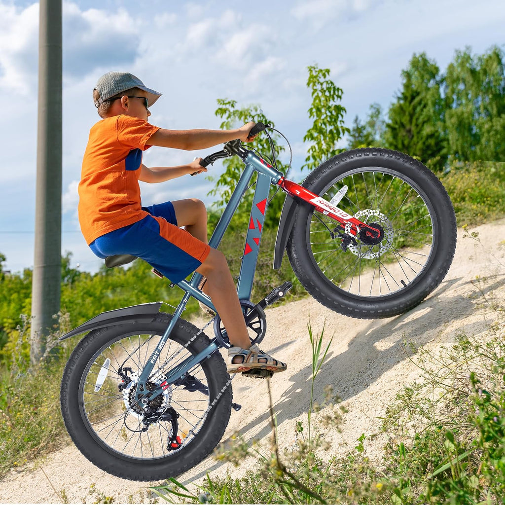 Mountain Bike 20/24 Inch, 3' Wide Fat Tire Snow Mountain Bikes, 7 Speeds Kids Teen Student Bicycles,Steel Frame Disc Brake，3 Colors