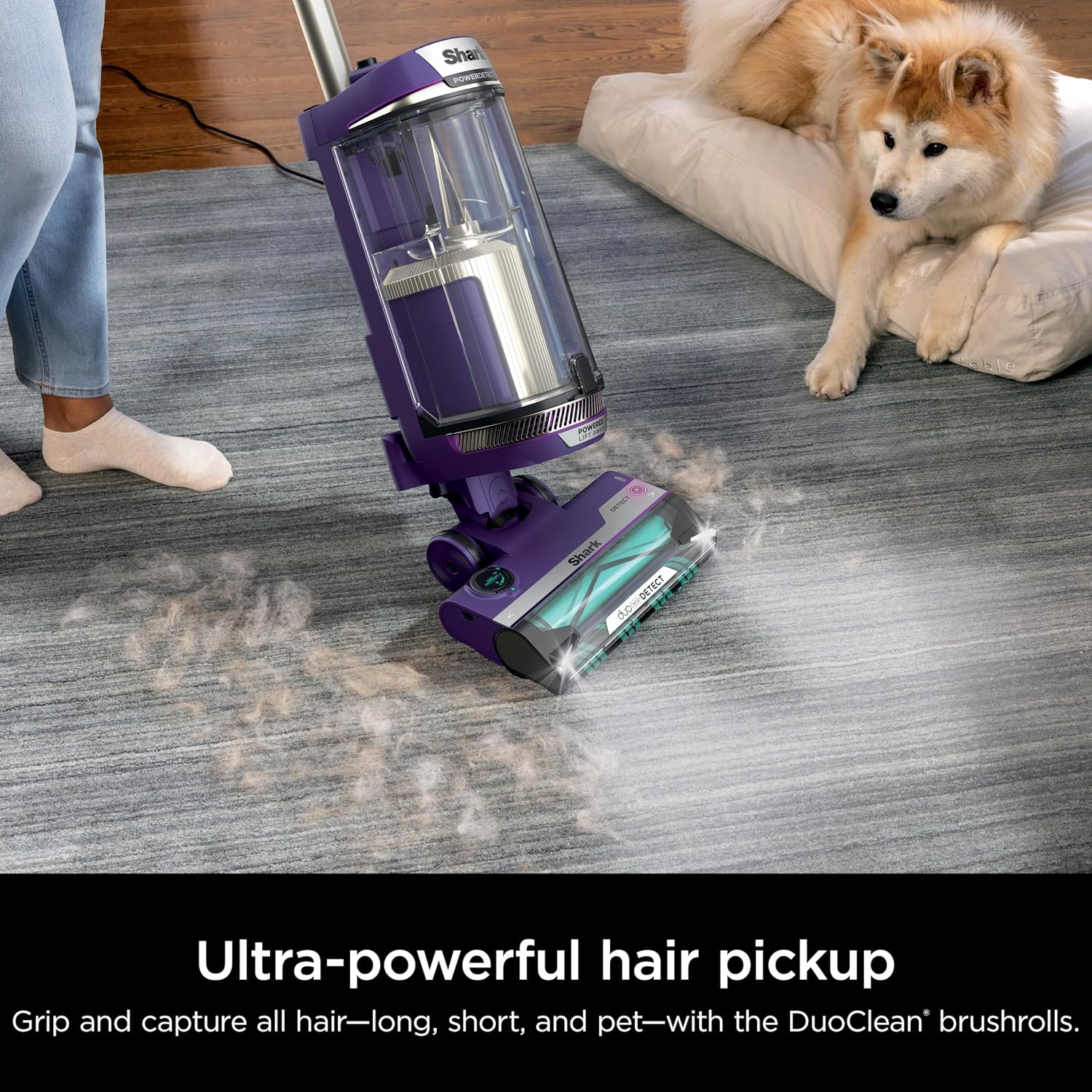 SHARK POWERDETECT Upright Vacuum Cleaner with DuoClean Technology, Odor Neutralizer Technology, Powered Lift-Away, Self Cleaning Brushroll, Anti-Allergen Complete Seal (Renewed) (Eggplant)