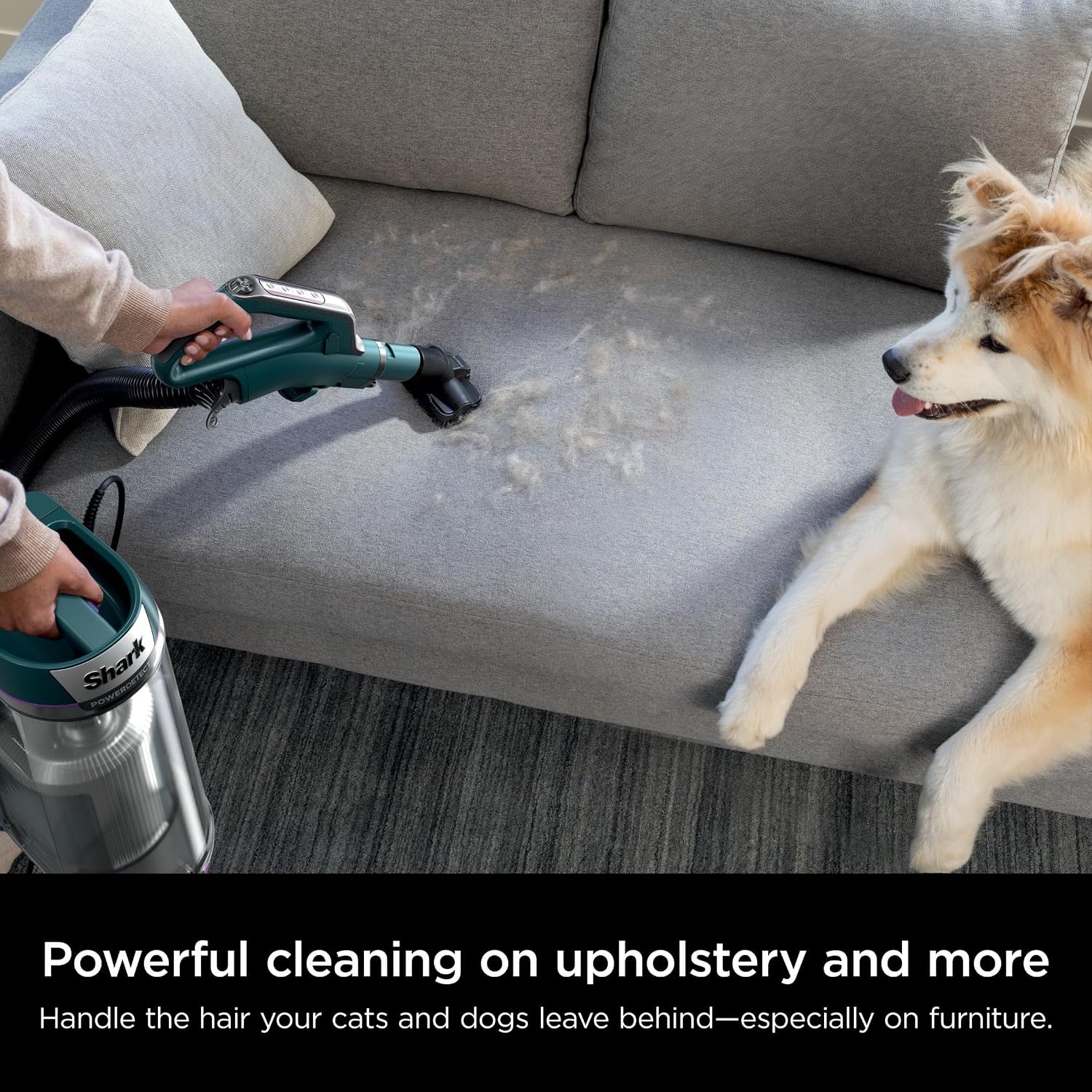 SHARK AZ4000 POWERDETECT Upright Vacuum Cleaner with DuoClean Technology, Odor Neutralizer Technology, Powered Lift-Away, Self Cleaning Brushroll, Anti-Allergen Complete Seal, XL Dustcup (Renewed)