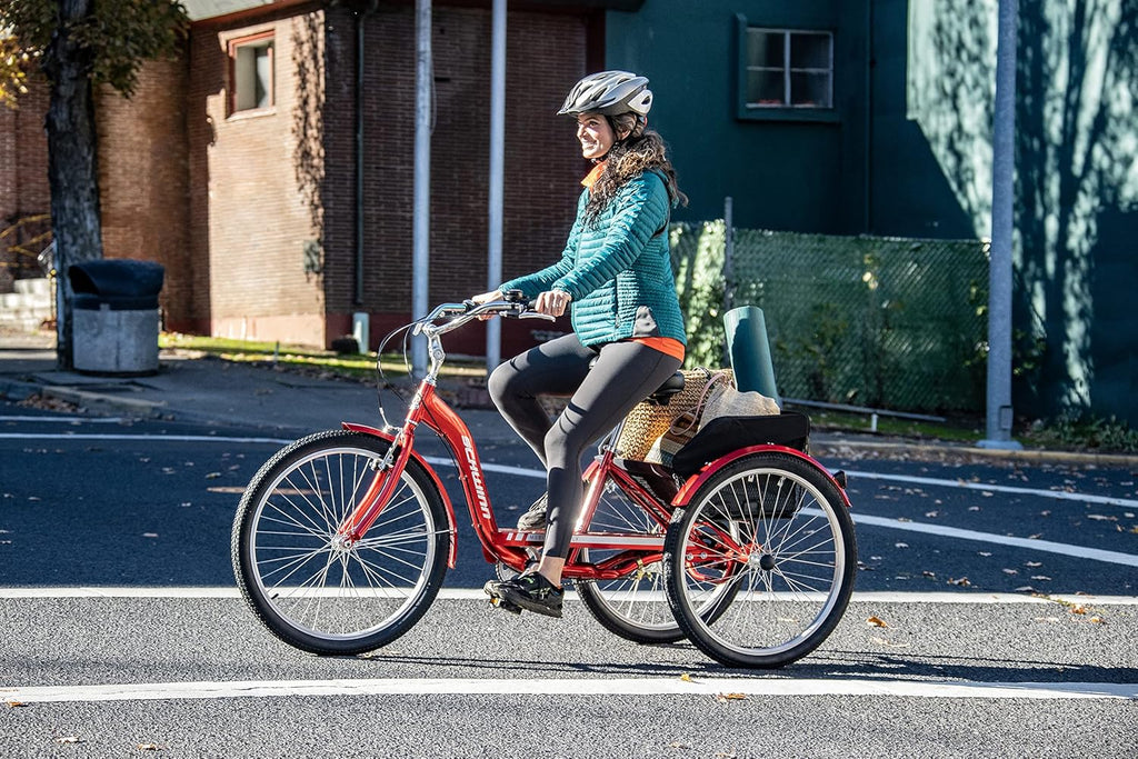 Schwinn Meridian