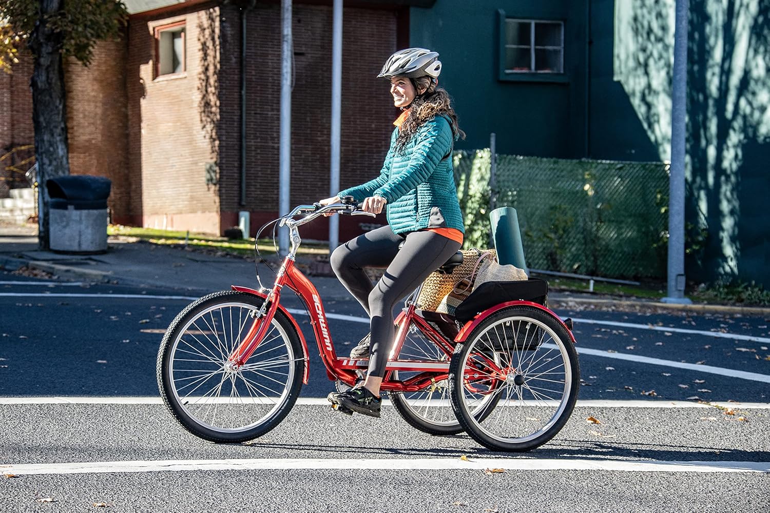 Schwinn Meridian
