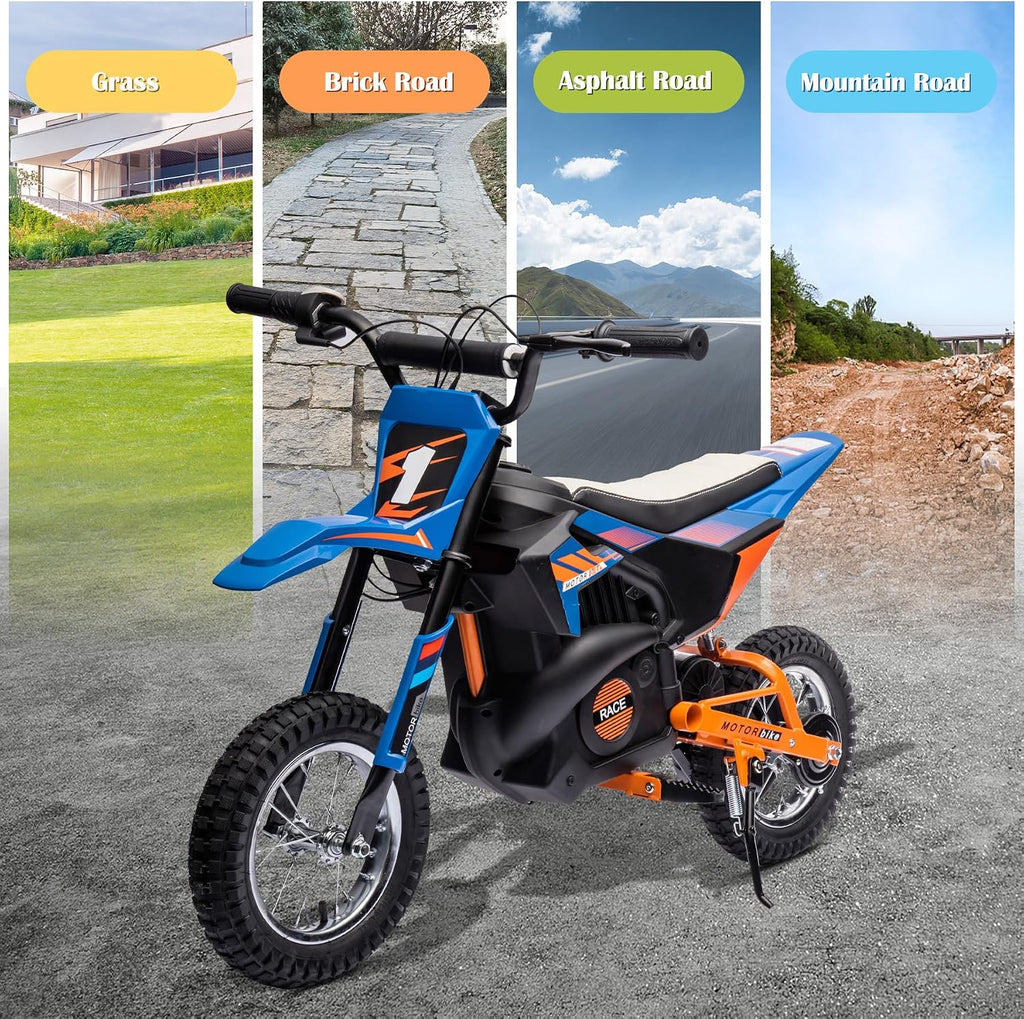 24V Electric Dirt Bike for Kids, 250W Strong Motor 13.6MPH Fast Speed Electric Off-Road Motorcycle, Mini Dirt Bike with Rear Wheel Suspension, Chain-Driven, Leather Seat, Disc Brake, Blue
